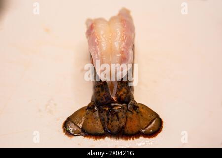 Queue de homard crue isolée à cuire Banque D'Images