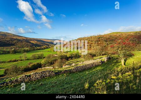 Vue ouest le long de Langstrothdale depuis sa jonction avec Wharfeldale, Yorkshire Dales, Angleterre. Banque D'Images