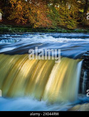 Autum à Aysgarth Falls, Wensleydale, Yorkshire, Angleterre. Banque D'Images