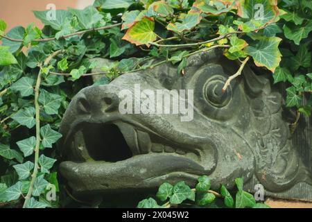 Statue de gargouille à Gdansk, Pologne. Art et détails architecturaux. Banque D'Images