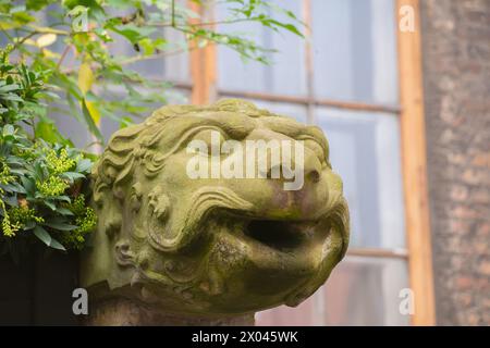 Statue de gargouille à Gdansk, Pologne. Art et détails architecturaux. Banque D'Images