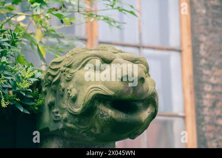 Statue de gargouille à Gdansk, Pologne. Art et détails architecturaux. Banque D'Images