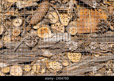 Un hôtel pour insectes, un hôtel pour insectes, une maison pour insectes. structure artificielle créée pour fournir un abri aux insectes. Banque D'Images