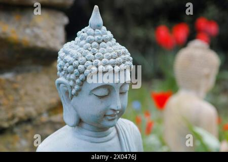Portrait d'un bouddha de jardin avec des tulipes rouges et un autre bouddha floue en arrière-plan Banque D'Images