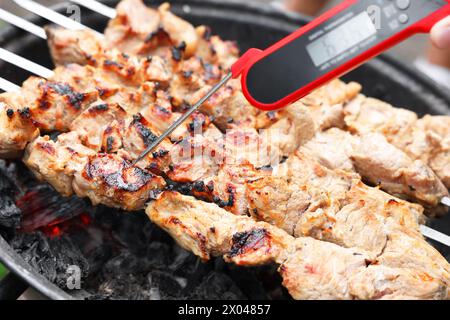 Homme mesurant la température de délicieux kebab sur brasero en métal, gros plan Banque D'Images