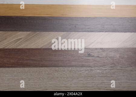 Différents échantillons de plancher en bois comme fond, pose plate Banque D'Images
