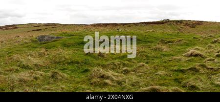 LORDENSHAWS HILLFORT ET ART RUPESTRE DE L'ÂGE DE FER, NORTHUMBERLAND Banque D'Images