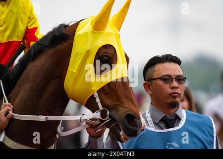 California Spangle et Brenton Avdulla prennent le départ avant le G1 Al Quoz Sprint 2024, hippodrome de Meydan. Crédit JTW Equine images / Alamy. Banque D'Images