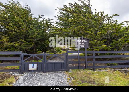 Arbres du souvenir dans Memorial Wood, 1982, Stanley, Îles Falkland, samedi, 02 décembre 2023. Photo : David Rowland / One-Image.com Banque D'Images