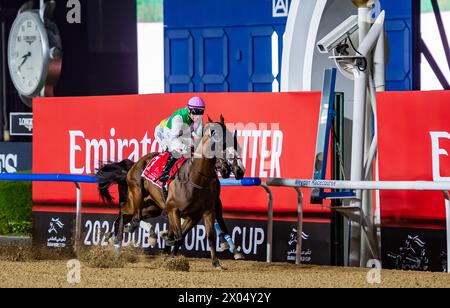 Laurel River et Tadhg O'Shea mènent le peloton lors de la Coupe du monde Emirates Dubaï 2024, hippodrome de Meydan, 30/03/24. Crédit JTW Equine images / Alamy. Banque D'Images