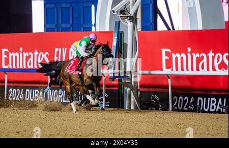 Laurel River et Tadhg O'Shea mènent le peloton lors de la Coupe du monde Emirates Dubaï 2024, hippodrome de Meydan, 30/03/24. Crédit JTW Equine images / Alamy. Banque D'Images