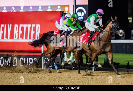 Laurel River et Tadhg O'Shea mènent le peloton lors de la Coupe du monde Emirates Dubaï 2024, hippodrome de Meydan, 30/03/24. Crédit JTW Equine images / Alamy. Banque D'Images