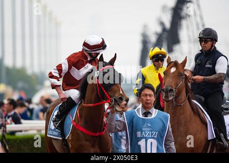 Sight Success et Ryan Moore se dirigent vers le départ pour le G1 Al Quoz Sprint, 30/03/24, hippodrome de Meydan, Dubaï, Émirats arabes Unis. Crédit JTW Equine images / Alamy. Banque D'Images