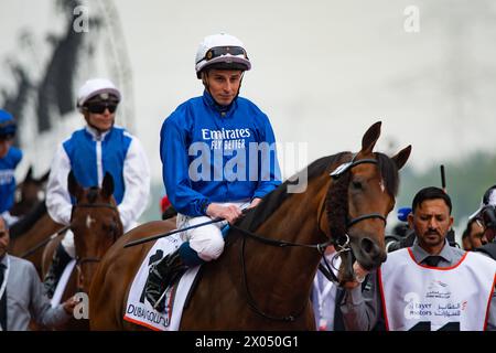 Siskany et William Buick se dirigent vers le départ de la Dubai Gold Cup à l’hippodrome de Meydan, Dubaï, Émirats arabes Unis, 30/03/24. Crédit JTW Equine images / Alamy. Banque D'Images