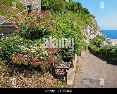 Royaume-Uni, Devon, Bench surplombant Beer Beach Banque D'Images