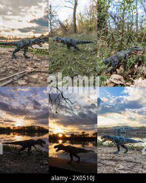 T Rex dinosaure debout dans l'ensemble de la collection nature Banque D'Images