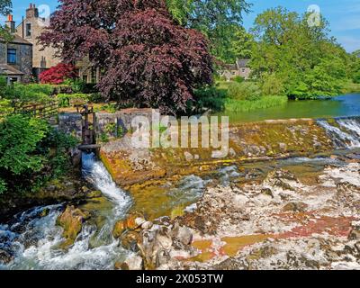 Royaume-Uni, North Yorkshire, Grassington, Linton Falls sur la rivière Wharfe. Banque D'Images