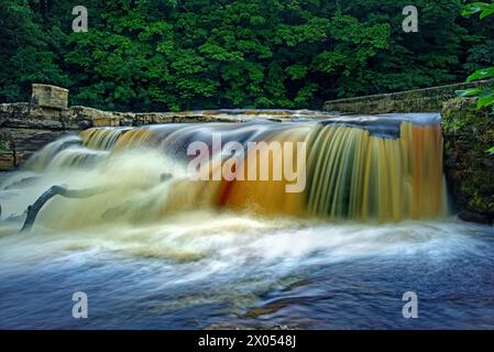 Royaume-Uni, North Yorkshire, Richmond Falls sur la rivière Swale. Banque D'Images