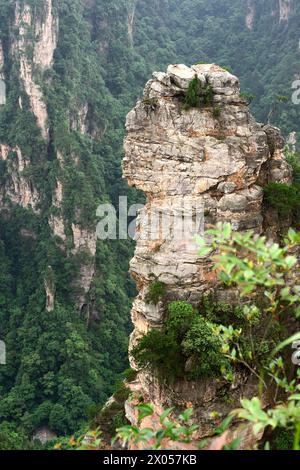 Les piliers de grès s'élèvent au-dessus de la forêt luxuriante du parc forestier national de Zhangjiajie dans la zone pittoresque de Wulingyuan, en Chine. Banque D'Images