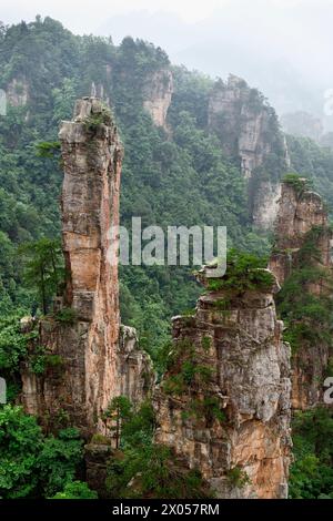 Les piliers de grès s'élèvent au-dessus de la forêt luxuriante du parc forestier national de Zhangjiajie dans la zone pittoresque de Wulingyuan, en Chine. Banque D'Images