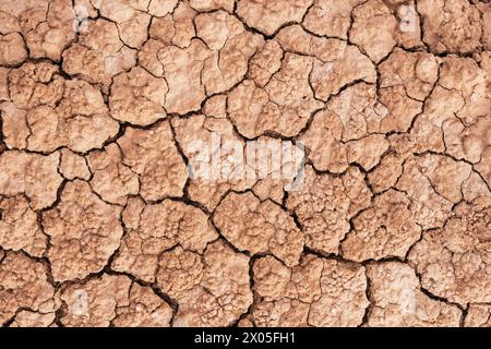 texture de fond de sol aride desséché et fissuré à motifs Banque D'Images