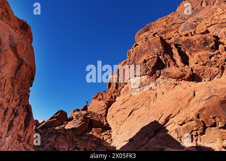 Femme debout à la base d'une falaise de grès rouge dans le parc d'État de Valley of Fire dans le Nevada Banque D'Images
