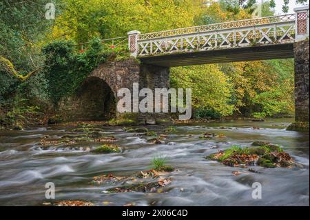 River Barle coulant sur les rochers devant Marsh Bridge près de Dulverton dans le parc national Exmoor, Somerset, Angleterre, Royaume-Uni. Banque D'Images