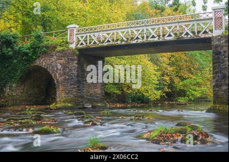 River Barle coulant sur les rochers devant Marsh Bridge près de Dulverton dans le parc national Exmoor, Somerset, Angleterre, Royaume-Uni. Banque D'Images