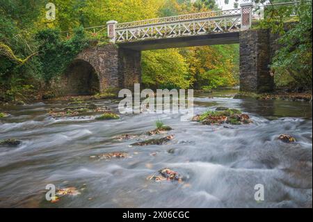 River Barle coulant sur les rochers devant Marsh Bridge près de Dulverton dans le parc national Exmoor, Somerset, Angleterre, Royaume-Uni. Banque D'Images