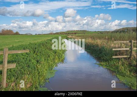 L'une des rines du Somerset Levels à cames Meads près de Hook Bridge, Curload, Somerset, Angleterre, Royaume-Uni. Banque D'Images