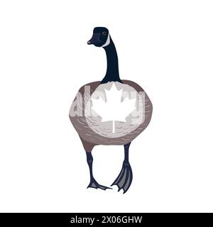 Oiseau d'oie du Canada avec feuille d'érable drapeau canadien sur sa poitrine. Illustration isolée vectorielle. Illustration de Vecteur