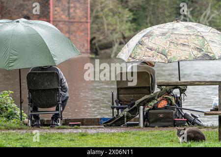 Kidderminster, Royaume-Uni. 10 avril 2024. Météo britannique : les pêcheurs se mettent à l'abri de la pluie sous un grand poisson de pêche alors que les averses de pluie persistantes couvrent les Midlands aujourd'hui. Crédit : Lee Hudson/Alamy Live News Banque D'Images