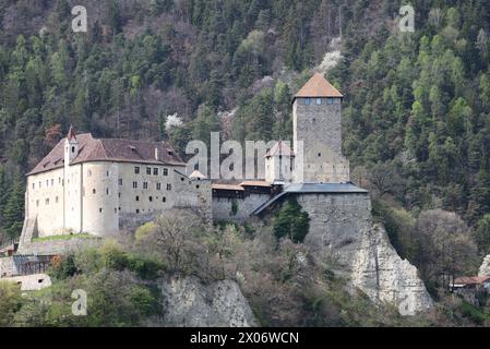 Dorf Tirol, Südtirol, Italien 07. Avril 2024 : Ein Frühlingstag à Dorf Tirol, BEI Meran, Tirolo. Hier der Blick auf den bergfried von Schloss Tirol, Landesburg, Grafen von Tirol und die Wiege der Grafschaft Tirol, Wahrzeichen, Südtiroler Landesmuseum für Kultur- und Landesgeschichte *** Dorf Tirol, Tyrol du Sud, Italie 07 avril 2024 journée de printemps à Dorf Tirol, près de Meran, Tirolo ici la vue du donjon du château Tyrol, château provincial, comtes du Tyrol et le berceau du comté du Tyrol, point de repère, Musée provincial Tyrol du Sud de la culture et de l'histoire Banque D'Images