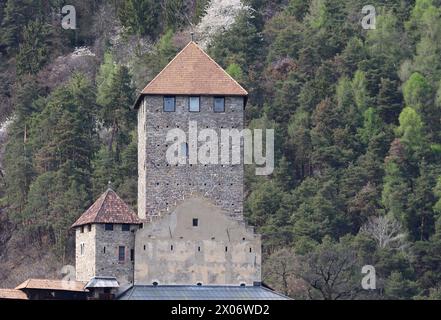 Dorf Tirol, Südtirol, Italien 07. Avril 2024 : Ein Frühlingstag à Dorf Tirol, BEI Meran, Tirolo. Hier der Blick auf den bergfried von Schloss Tirol, Landesburg, Grafen von Tirol und die Wiege der Grafschaft Tirol, Wahrzeichen, Südtiroler Landesmuseum für Kultur- und Landesgeschichte *** Dorf Tirol, Tyrol du Sud, Italie 07 avril 2024 journée de printemps à Dorf Tirol, près de Meran, Tirolo ici la vue du donjon du château Tyrol, château provincial, comtes du Tyrol et le berceau du comté du Tyrol, point de repère, Musée provincial Tyrol du Sud de la culture et de l'histoire Banque D'Images