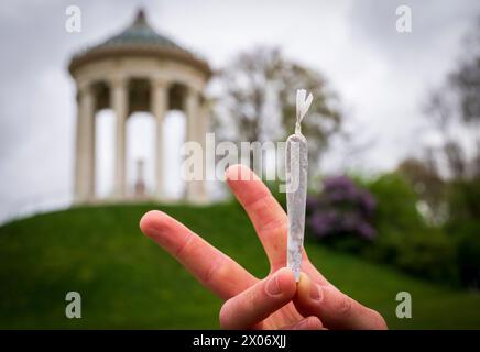 ILLUSTRATION - 10 avril 2024, Bavière, Munich : un homme tient un joint avec le Monopteros en toile de fond dans le jardin anglais et montre le signe de la paix. Une grande partie de la loi controversée sur le cannabis est en vigueur depuis le lundi de Pâques. Désormais, les adultes âgés de 18 ans et plus sont autorisés à posséder jusqu’à 25 grammes de cannabis pour consommation personnelle. Trois plants de cannabis seront autorisés à la maison et jusqu'à 50 grammes de cannabis pour usage personnel. Toutefois, fumer de l'herbe restera interdit dans les espaces publics, y compris les écoles, les installations sportives et à la vue de ces installations. Photo : PE Banque D'Images