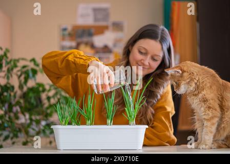 Femme souriante dans un dessus jaune moutarde arde arrose des plants d'oignon vert dans une jardinière, tandis qu'un chat curieux au gingembre regarde de près. Verdure croissante dans l'appartement, un mini potager. Banque D'Images