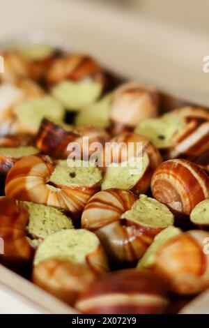 escargots prêts à cuire avec du beurre et des herbes Banque D'Images