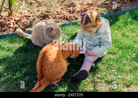 Enfant fille nourrissant ses chats dans le jardin de l'arrière-cour Banque D'Images