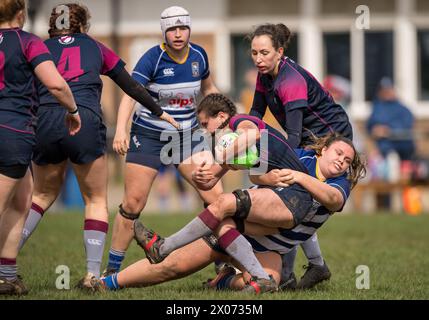 Jeu féminin amateur anglais de rugby à xv. Banque D'Images