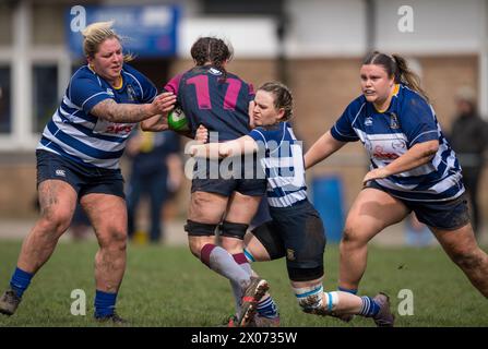 Jeu féminin amateur anglais de rugby à xv. Banque D'Images