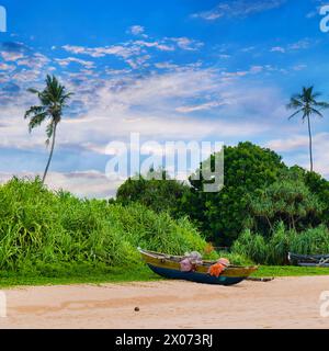 Plage tropicale avec végétation exotique et vieux bateau de pêche. Sri Lanka. Banque D'Images