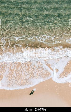 Seagull's Paradise : un havre côtier serein avec des sables roses, des eaux cristallines et un soleil éclatant Banque D'Images