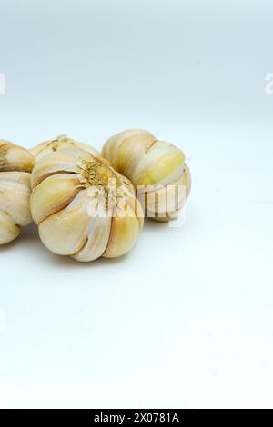 Ail frais ou Allium sativum isolé sur fond blanc. Banque D'Images