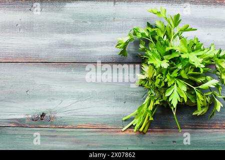 Paquet d'herbe de persil plat italien frais sur un fond peint. Vue de dessus de table. Frais généraux. Flatlay. Banque D'Images