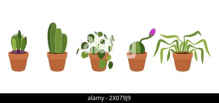 Ensemble de petites plantes d'intérieur dans des pots. Vecteur sur fond blanc. Illustration de Vecteur