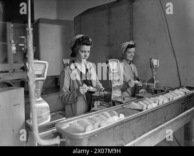 LIFE AT ROYAL NAVY ARMEMENT DEPOT PRIDDY'S HARD, GOSPORT, 25-30 JUILLET 1944 - at RNAD Priddy's Hard, Gosport, Gladys Mingay, 19 ans, et Gladys Cox, âgé de 39 ans, pesant l'explosif RDX pour remplir les obus navals de deux livres Royal Navy Banque D'Images