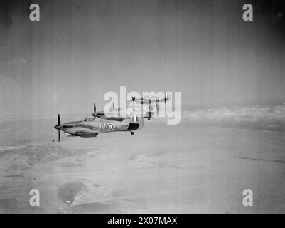 Quatre Hawker Hurricane Mark IIDS du No 6 Squadron RAF volent en formation tribord au-dessus du désert occidental à partir de Shandur, en Égypte, de 1939 à 1943. Banque D'Images
