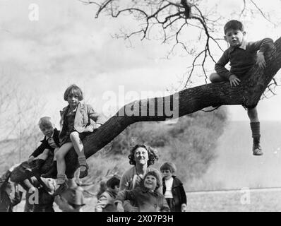 COLONIE POUR ARTISTES DE MOINS DE SIX ans : ÉVACUÉS À DARTINGTON HALL, TOTNES, DEVON, ANGLETERRE, 1941 - Un groupe d'enfants, évacués de Gravesend dans le Kent, grimpent à un arbre pendant une promenade de leur billet à Dartington Hall, Devon. Ils sont assistés dans leur ascension par leur professeur Miss Betty Hall Banque D'Images