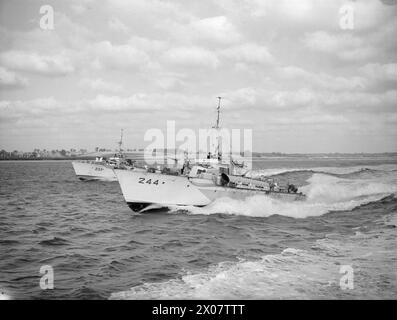 AVEC UNE FLOTTILLE VTT. 6 OCTOBRE 1944, FELIXSTOWE. VTT DE LA 21E FLOTTILLE SOUS LE COMMANDEMENT DU LIEUTENANT GEORGE J MACDONALD, DSO, DSC ET 2 BARS, RNZNVR, DE WELLINGTON, NOUVELLE-ZÉLANDE. L'ENGIN EST CONSTRUIT PAR VOSPER. - Vosper VTT à vitesse Royal Navy, VTT 296, Motor Torpedo Boat, (1942), Royal Navy, VTT 233, torpille à moteur, (1942) Banque D'Images