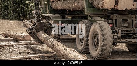 Industrie forestière. Camion de chargement de bois dans la forêt. Chargement de grumes sur un chariot à grumes. Grue portative sur un camion forestier. Tracteurs forestiers, camions et Banque D'Images